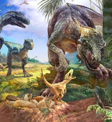 dinosaur-eggs-theropod-nest_220-240