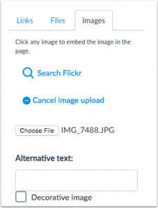 a picture that shows where you can now add alt text to images