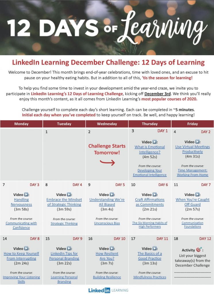 A screecshot of the 12 Days of Learning challenge PDF file.