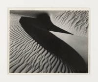 Pelican Dune, ca. 1933 by Brett Weston, DeGolyer Library, SMU.