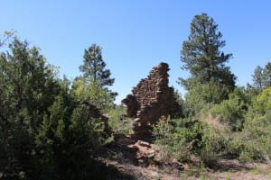 Standing walls at the ruins of an Ancestral Jemez village that was part of the published study. (Roos, SMU)