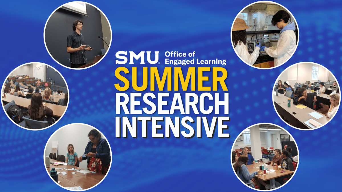 Summer Research Intensive banner